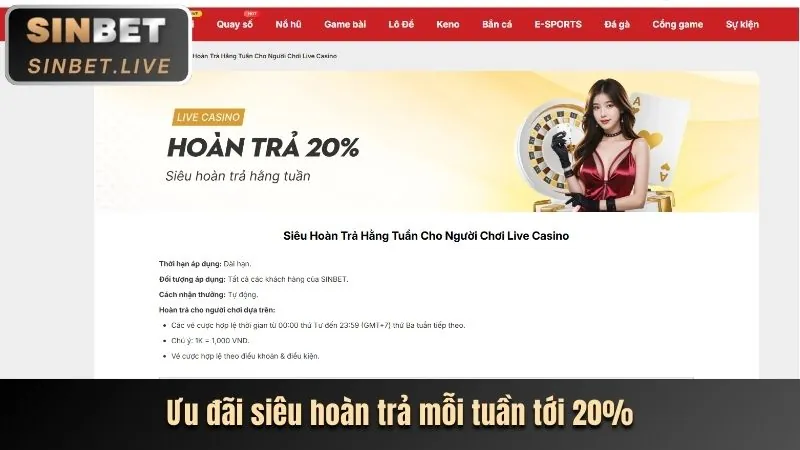 Trải nghiệm sòng bạc trực tuyến Bet11 Login